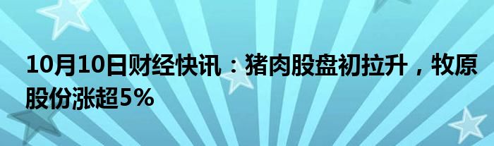 10月10日财经快讯：猪肉股盘初拉升，牧原股份涨超5%