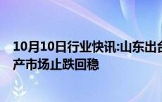 10月10日行业快讯:山东出台“楼市19条”，促进全省房地产市场止跌回稳