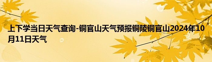 上下学当日天气查询-铜官山天气预报铜陵铜官山2024年10月11日天气