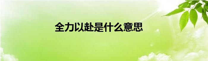 全力以赴是什么意思