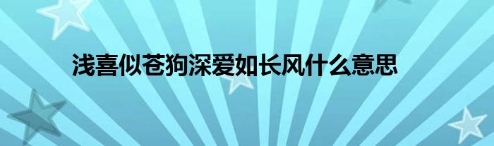 浅喜似苍狗深爱如长风什么意思