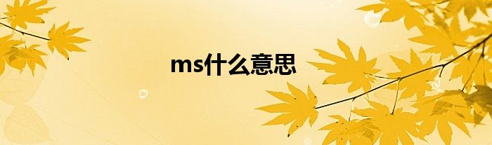 ms什么意思