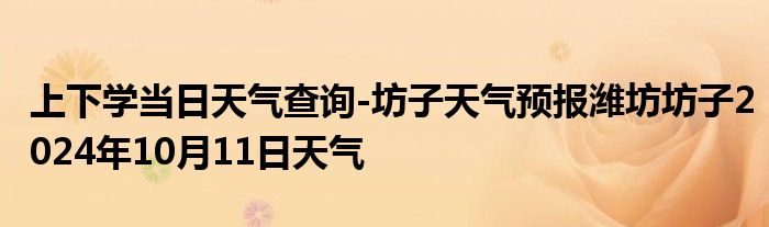 上下学当日天气查询-坊子天气预报潍坊坊子2024年10月11日天气