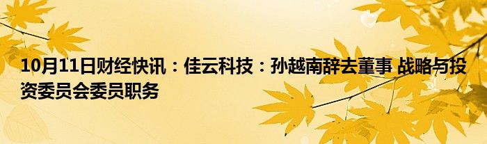 10月11日财经快讯：佳云科技：孙越南辞去董事 战略与投资委员会委员职务