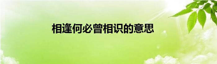 相逢何必曾相识的意思