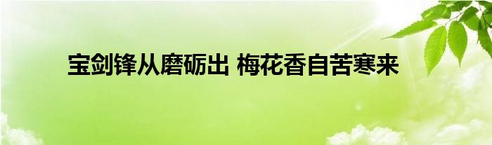 宝剑锋从磨砺出 梅花香自苦寒来