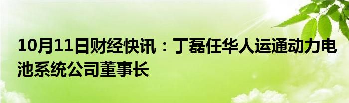 10月11日财经快讯：丁磊任华人运通动力电池系统公司董事长