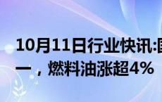 10月11日行业快讯:国内期货主力合约涨跌不一，燃料油涨超4%