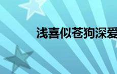 浅喜似苍狗深爱如长风什么意思