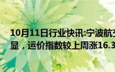 10月11日行业快讯:宁波航交所：本周泰越航线运价涨幅明显，运价指数较上周涨16.3%