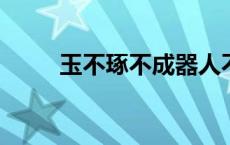 玉不琢不成器人不学不知义的意思