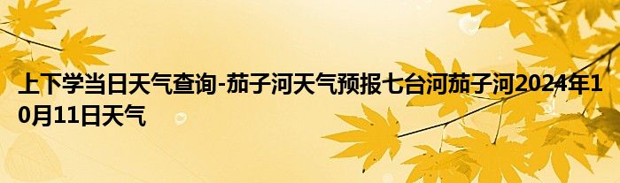 上下学当日天气查询-茄子河天气预报七台河茄子河2024年10月11日天气