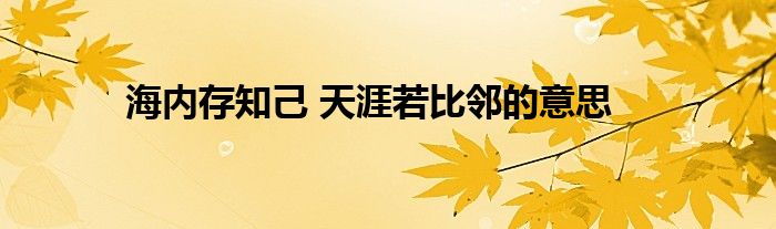 海内存知己 天涯若比邻的意思