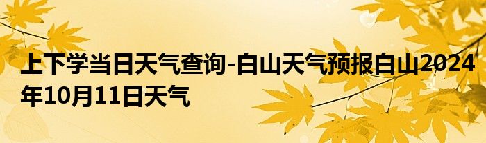 上下学当日天气查询-白山天气预报白山2024年10月11日天气