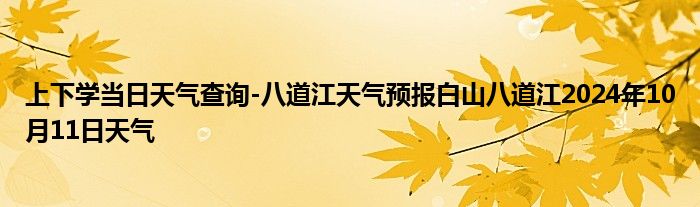 上下学当日天气查询-八道江天气预报白山八道江2024年10月11日天气