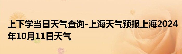 上下学当日天气查询-上海天气预报上海2024年10月11日天气