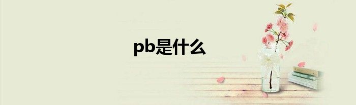 pb是什么