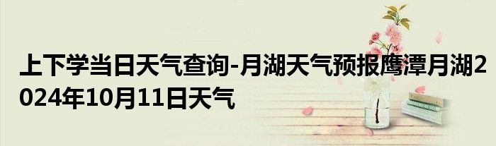 上下学当日天气查询-月湖天气预报鹰潭月湖2024年10月11日天气