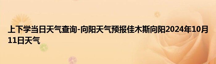 上下学当日天气查询-向阳天气预报佳木斯向阳2024年10月11日天气