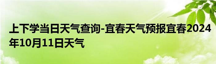 上下学当日天气查询-宜春天气预报宜春2024年10月11日天气