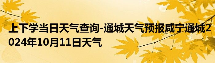 上下学当日天气查询-通城天气预报咸宁通城2024年10月11日天气