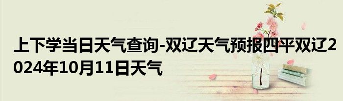 上下学当日天气查询-双辽天气预报四平双辽2024年10月11日天气