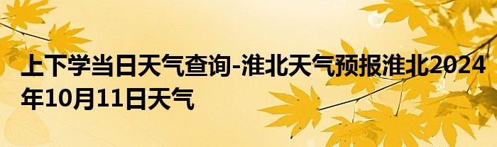 上下学当日天气查询-淮北天气预报淮北2024年10月11日天气