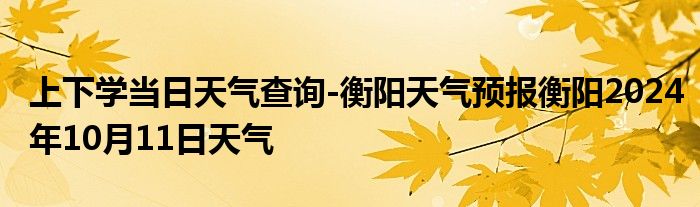 上下学当日天气查询-衡阳天气预报衡阳2024年10月11日天气