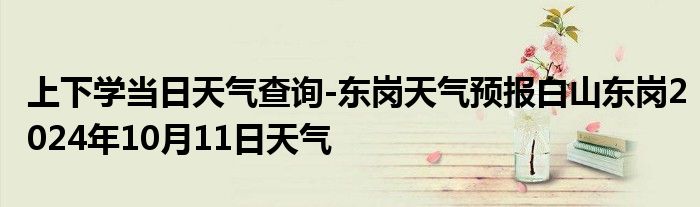 上下学当日天气查询-东岗天气预报白山东岗2024年10月11日天气