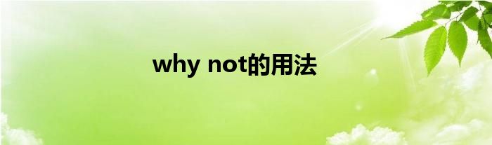 why not的用法