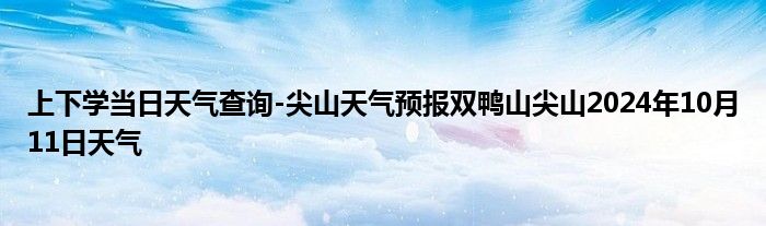 上下学当日天气查询-尖山天气预报双鸭山尖山2024年10月11日天气