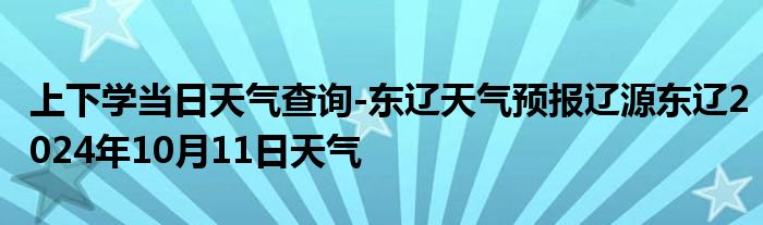 上下学当日天气查询-东辽天气预报辽源东辽2024年10月11日天气