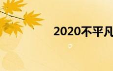 2020不平凡的一年 总结