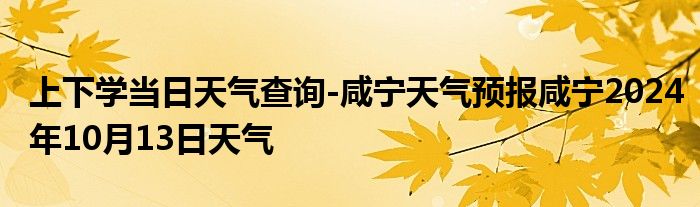 上下学当日天气查询-咸宁天气预报咸宁2024年10月13日天气