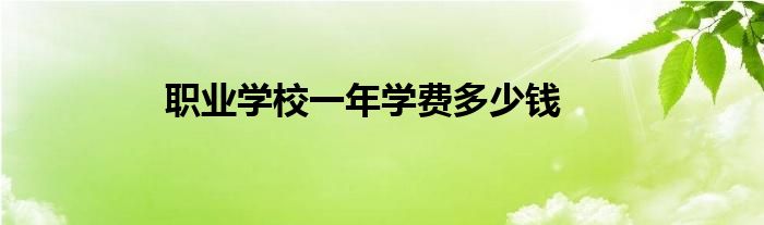 职业学校一年学费多少钱