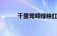 千里莺啼绿映红水村山郭酒旗风