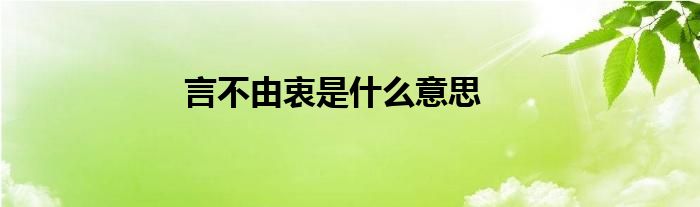 言不由衷是什么意思