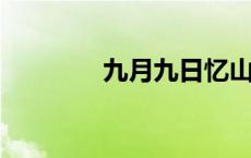 九月九日忆山东兄弟的意思