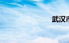 武汉市17中