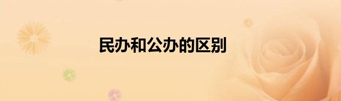 民办和公办的区别