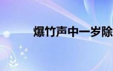 爆竹声中一岁除 春风送暖入屠苏