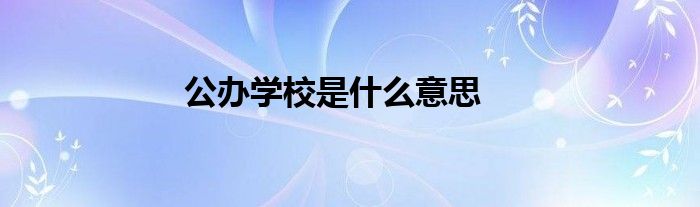 公办学校是什么意思