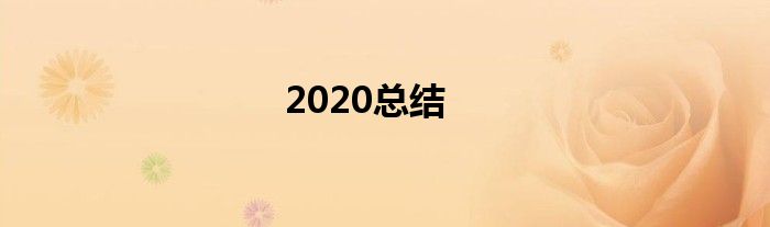 2020总结