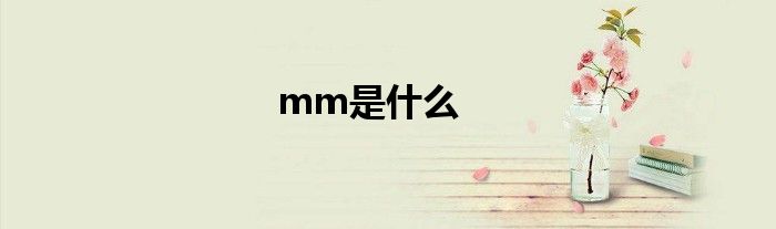 mm是什么