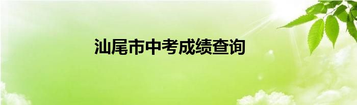 汕尾市中考成绩查询