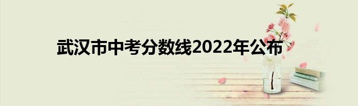 武汉市中考分数线2022年公布