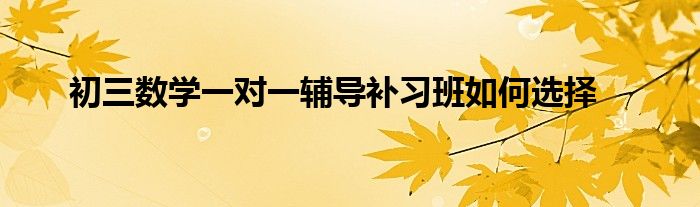 初三数学一对一辅导补习班如何选择