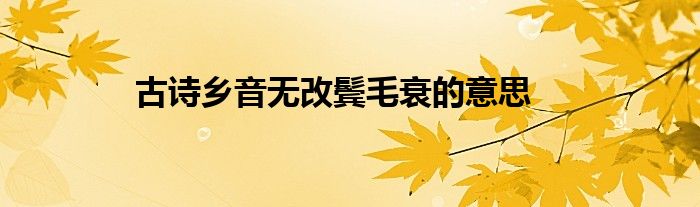 古诗乡音无改鬓毛衰的意思