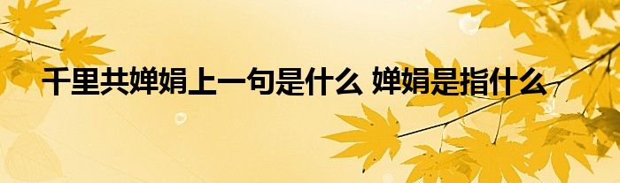 千里共婵娟上一句是什么 婵娟是指什么