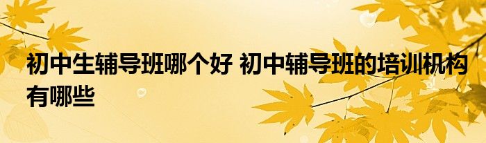 初中生辅导班哪个好 初中辅导班的培训机构有哪些